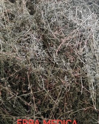 Ballette di fieno ed erba medica 