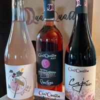 Vini Cantina QuatQuartin - 3 bottiglie