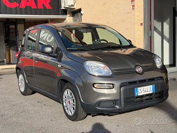 FIAT Panda 1.0 FireFly S&S Hybrid 5 POSTI (NESSU