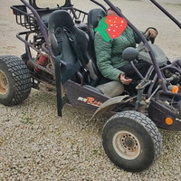 Pgo 250
