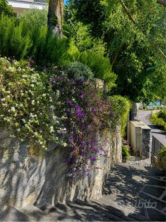Appartamento – Rapallo, Località Giardino, San Martino di Noceto - Vista 5