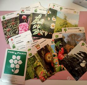 schede fiori e piante DeAgostini 1992