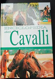 Libro/Enciclopedia sui Cavalli