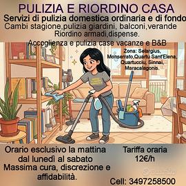 Pulizie domestiche