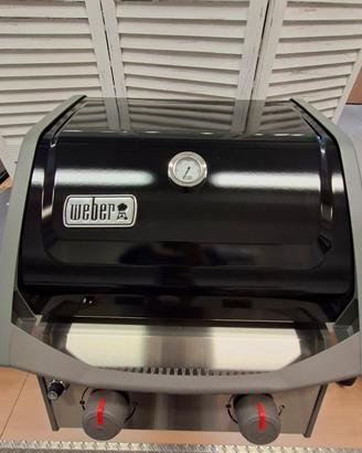 Weber II E-210 GBS