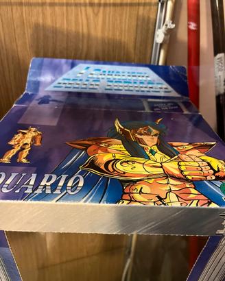 Cavaliere dello Zodiaco Aquario