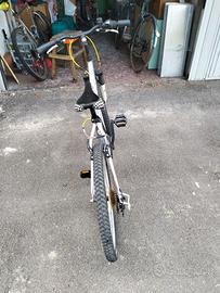 Mountain bike 24