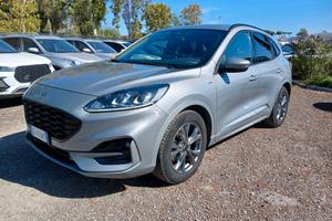 Ford Kuga 1.5 EcoBlue 120 CV aut. 2WD ST-Line X