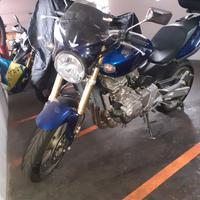 Honda Hornet - 2006