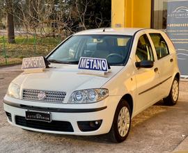 Fiat Punto 1.2 44kw Nat Power OK NEOPATENTATI UNIP
