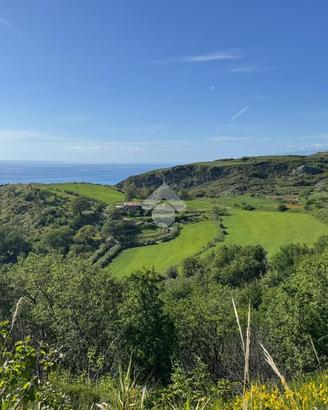 TER. AGRICOLO A SAN LUCIDO