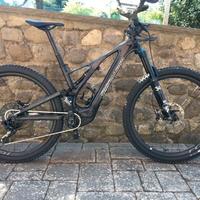 Specialized SL turbo Levo