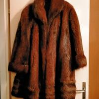 Pelliccia di castorino