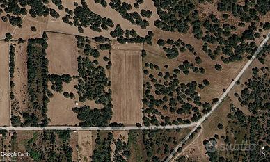 Terreno agricolo a Ploaghe