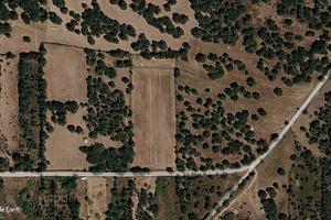 Terreno agricolo a Ploaghe