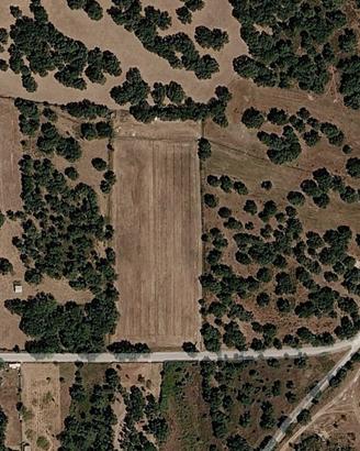 Terreno agricolo a Ploaghe