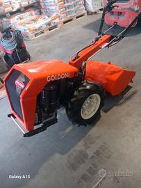 motocoltivatore goldoni diesel