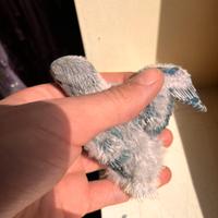Pulli di inseparabili