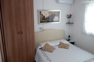 Pineto al mare al piano terra