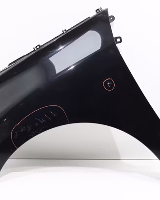PARAFANGO ANTERIORE SINISTRO RENAULT Scenic Serie