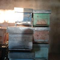 Arnie, trappole per polline e propoli, portasciami