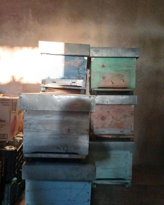 Arnie, trappole per polline e propoli, portasciami