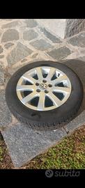 Gomme e cerchioni polo
