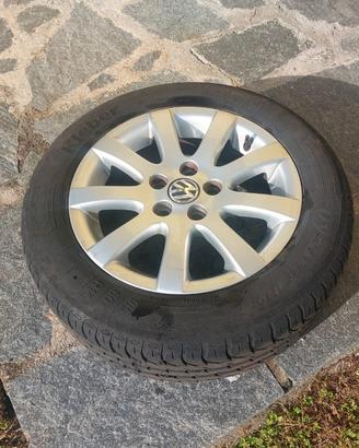 Gomme e cerchioni polo