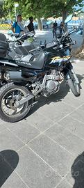 honda dominator 