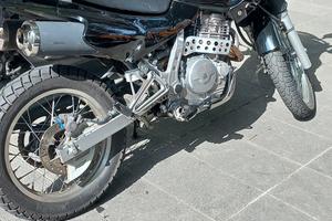 honda dominator 
