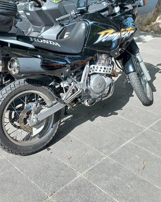 honda dominator 