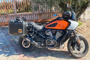 Harley Davidson Panamerica 1250 special