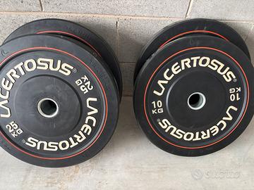 Bumper lacertosus 10kg