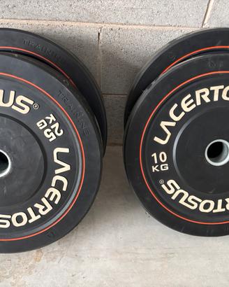 Bumper lacertosus 10kg