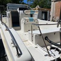 Barca a motore 90 CV