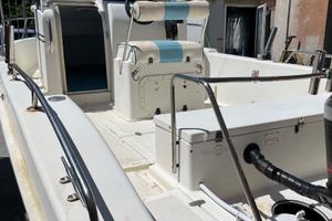 Barca a motore 90 CV