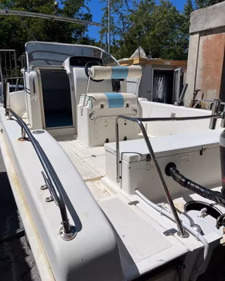 Barca a motore 90 CV