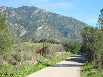 Terreno Loc. Funtana Marzu mq. 10000