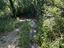 Immagine 14