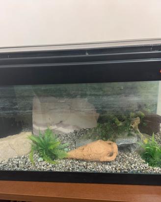 Acquario 80 Litri