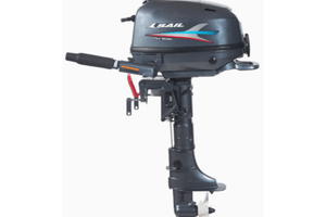 Motore fuoribordo 6 HP nuovo posso spedire