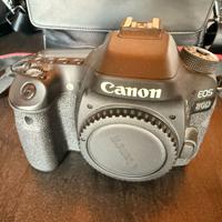 Canon EOS 80D – corpo – uso solo indoor – completa