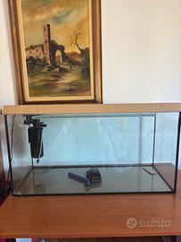 Acquario