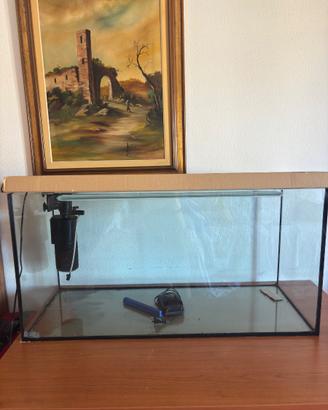 Acquario