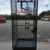 gabbia per uccelli e pappagalli