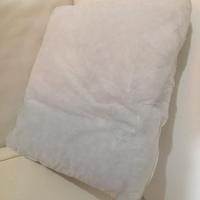 IMBOTTITURE PER CUSCINI € 2,00