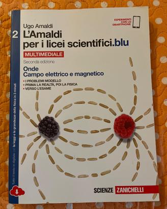 L’amaldi per i licei scientifici.blu