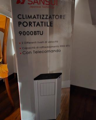 Condizionatore Portatile 