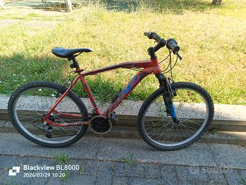 Bici MTB