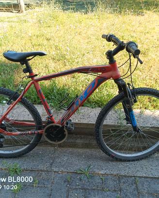 Bici MTB